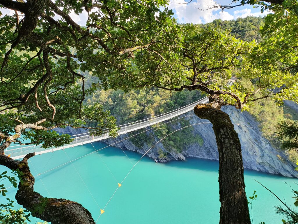 Passerelle de monteynard