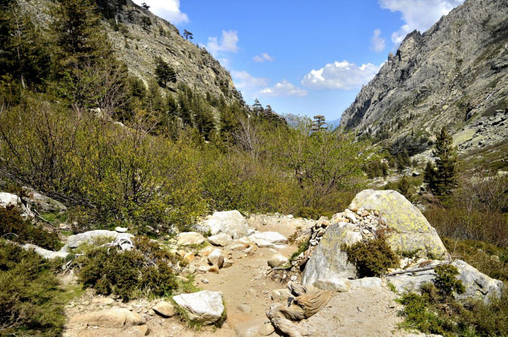 Restorica Trail